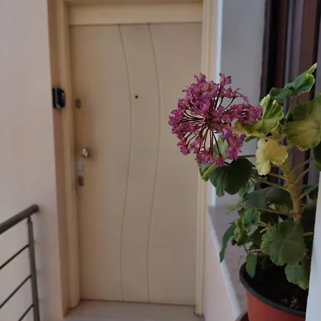 Flat In Old Town Famagusta. * Famagusta (Northern Cyprus)
